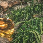La résine de CBD est-ce autorisé et peut-on en consommer en France